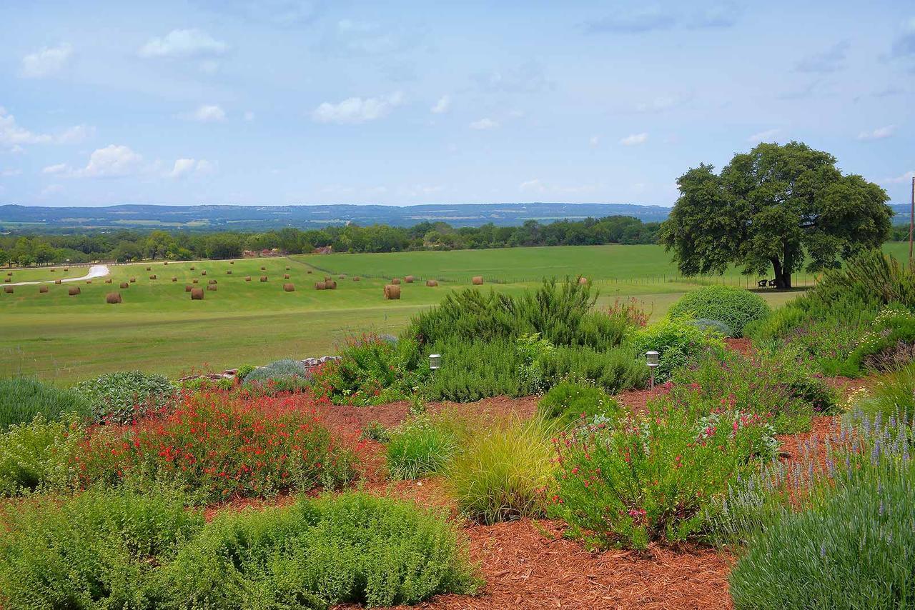 Rose Hill Retreat Aaa Four Diamond Inn Stonewall Exteriér fotografie